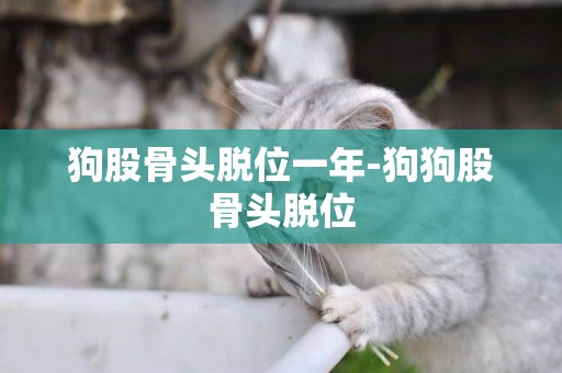 狗股骨頭脫位一年-狗狗股骨頭脫位