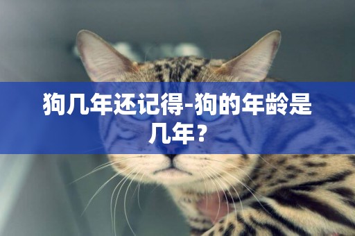 狗幾年還記得-狗的年齡是幾年？