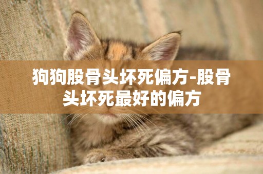 狗狗股骨頭壞死偏方-股骨頭壞死最好的偏方