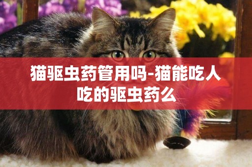 貓驅蟲藥管用嗎-貓能吃人吃的驅蟲藥么