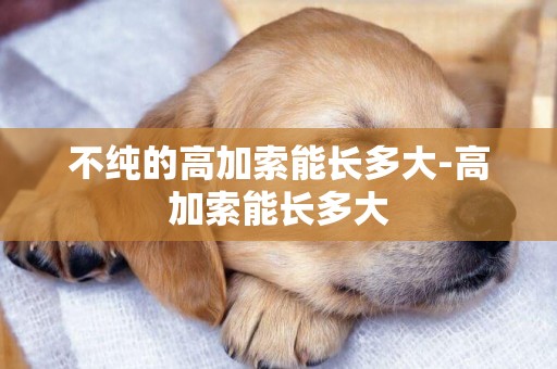 不純的高加索能長多大-高加索能長多大