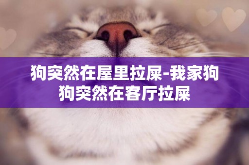 狗突然在屋里拉屎-我家狗狗突然在客廳拉屎