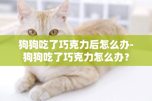 狗狗吃了巧克力后怎么辦-狗狗吃了巧克力怎么辦？