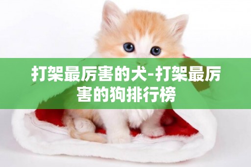 打架最厲害的犬-打架最厲害的狗排行榜