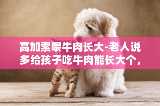 高加索喂牛肉長大-老人說多給孩子吃牛肉能長大個，有什么原由嗎？