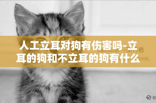 人工立耳對狗有傷害嗎-立耳的狗和不立耳的狗有什么差別?