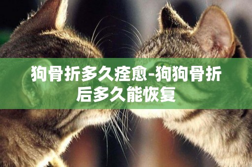 狗骨折多久痊愈-狗狗骨折后多久能恢復
