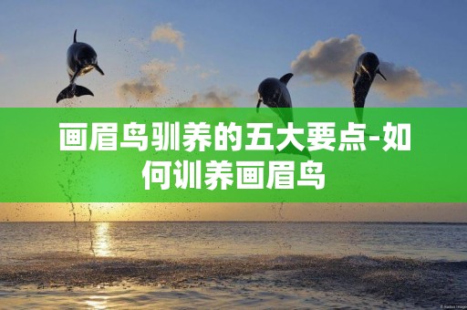 畫眉鳥馴養的五大要點-如何訓養畫眉鳥