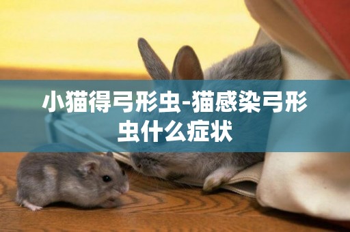 小貓得弓形蟲-貓感染弓形蟲什么癥狀