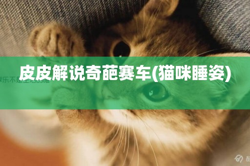 皮皮解說奇葩賽車(貓咪睡姿) 