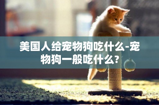 美國人給寵物狗吃什么-寵物狗一般吃什么?