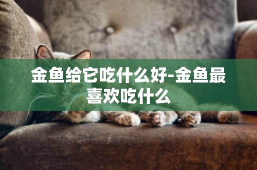 金魚給它吃什么好-金魚最喜歡吃什么
