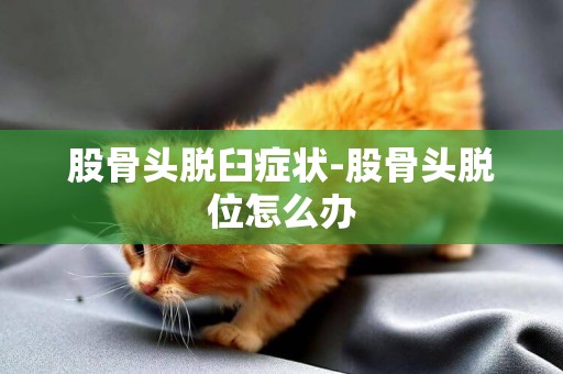 股骨頭脫臼癥狀-股骨頭脫位怎么辦