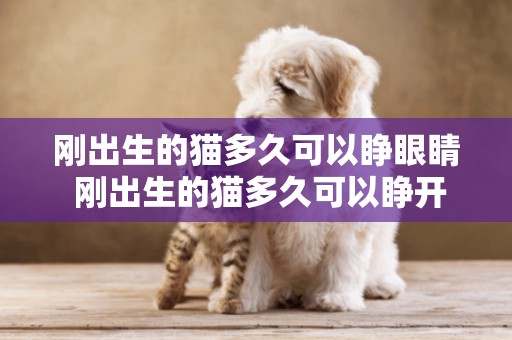 剛出生的貓多久可以睜眼睛 剛出生的貓多久可以睜開眼睛