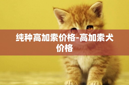 純種高加索價格-高加索犬價格