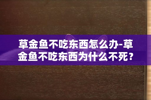 草金魚不吃東西怎么辦-草金魚不吃東西為什么不死？
