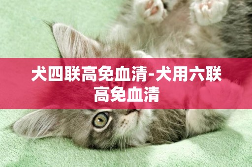 犬四聯高免血清-犬用六聯高免血清