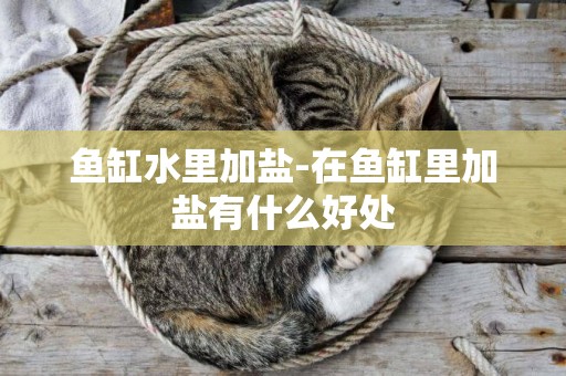 魚缸水里加鹽-在魚缸里加鹽有什么好處