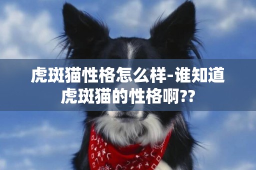 虎斑貓性格怎么樣-誰知道虎斑貓的性格啊??