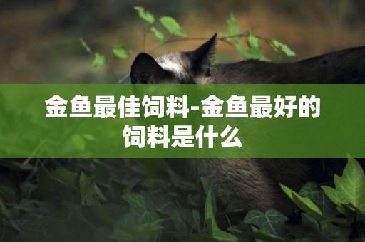 金魚最佳飼料-金魚最好的飼料是什么