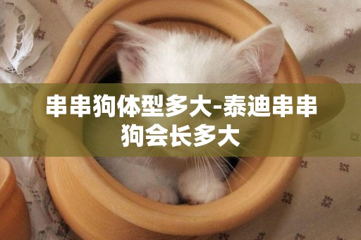 串串狗體型多大-泰迪串串狗會長多大