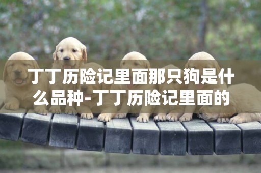 丁丁歷險記里面那只狗是什么品種-丁丁歷險記里面的小狗叫什么名字