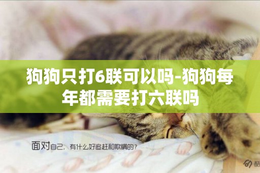 狗狗只打6聯可以嗎-狗狗每年都需要打六聯嗎