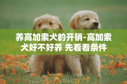 養高加索犬的開銷-高加索犬好不好養 先看看條件