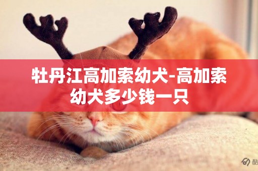 牡丹江高加索幼犬-高加索幼犬多少錢一只
