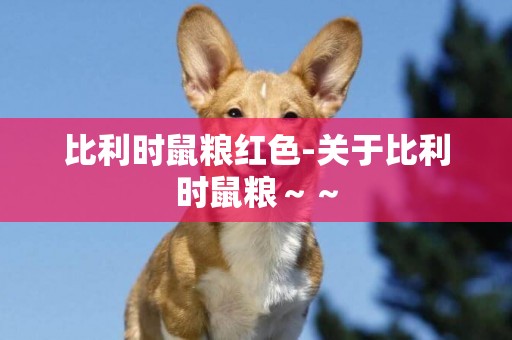 比利時鼠糧紅色-關于比利時鼠糧～～