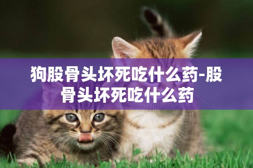 狗股骨頭壞死吃什么藥-股骨頭壞死吃什么藥