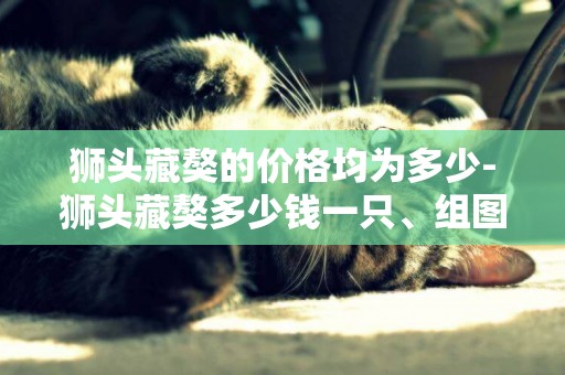 獅頭藏獒的價格均為多少-獅頭藏獒多少錢一只、組圖
