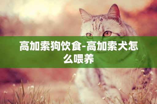 高加索狗飲食-高加索犬怎么喂養