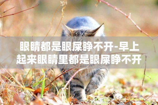 眼睛都是眼屎睜不開-早上起來眼睛里都是眼屎睜不開
