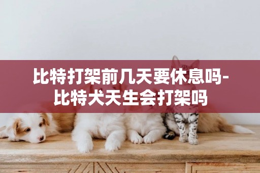 比特打架前幾天要休息嗎-比特犬天生會打架嗎