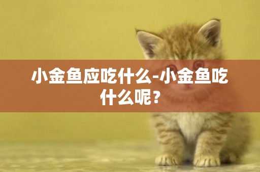 小金魚應吃什么-小金魚吃什么呢？