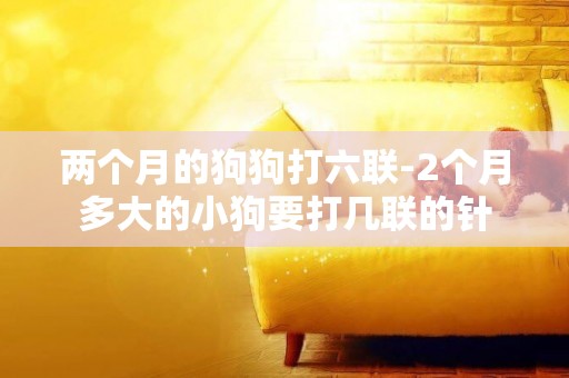 兩個月的狗狗打六聯-2個月多大的小狗要打幾聯的針