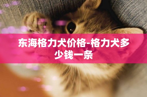 東海格力犬價格-格力犬多少錢一條