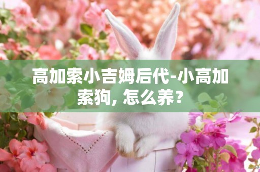 高加索小吉姆后代-小高加索狗, 怎么養？