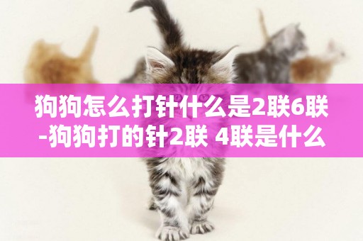 狗狗怎么打針什么是2聯6聯-狗狗打的針2聯 4聯是什么意思？