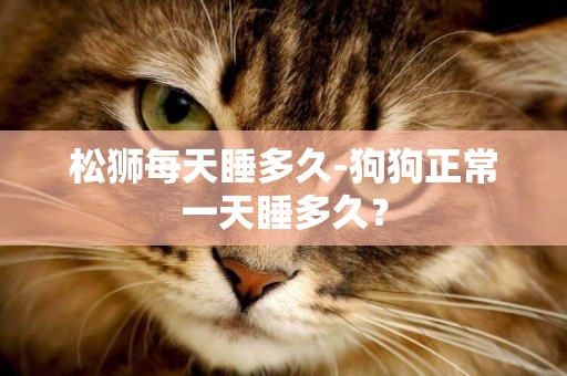 松獅每天睡多久-狗狗正常一天睡多久？