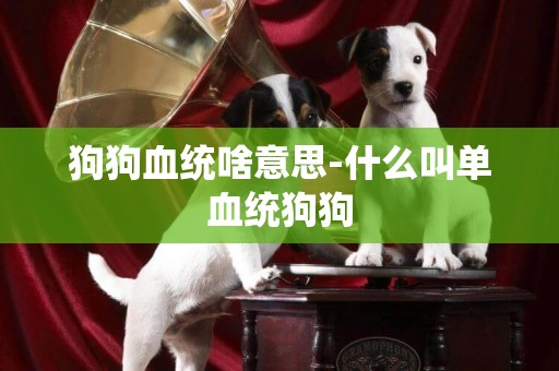 狗狗血統啥意思-什么叫單血統狗狗