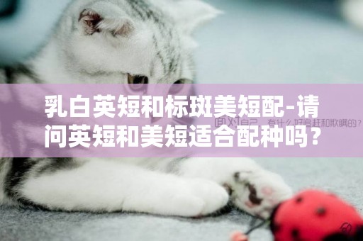 乳白英短和標斑美短配-請問英短和美短適合配種嗎？