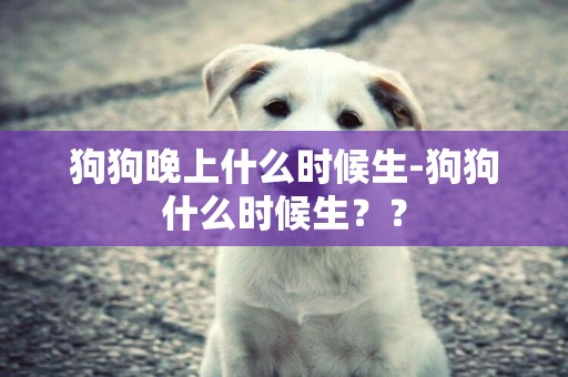 狗狗晚上什么時候生-狗狗什么時候生？？
