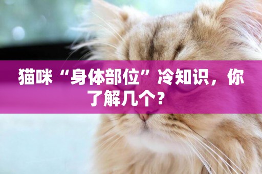 貓咪“身體部位”冷知識，你了解幾個？ 