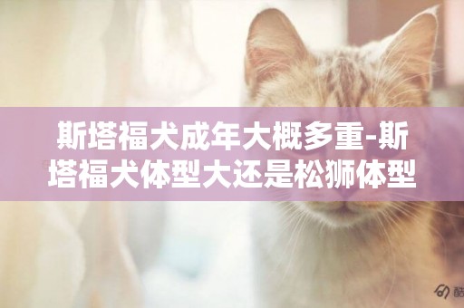 斯塔福犬成年大概多重-斯塔福犬體型大還是松獅體型大