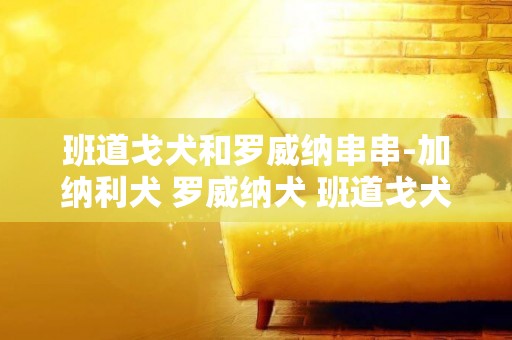 班道戈犬和羅威納串串-加納利犬 羅威納犬 班道戈犬 哪個打架兇猛，哪個會看家護主？哪個稍微便宜點？