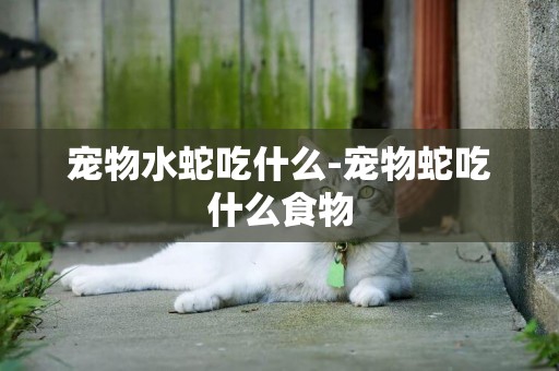 寵物水蛇吃什么-寵物蛇吃什么食物