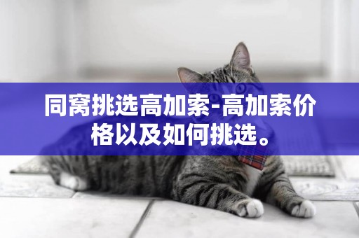 同窩挑選高加索-高加索價格以及如何挑選。
