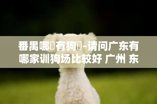 番禺哪裡有狗場-請問廣東有哪家訓狗場比較好 廣州 東莞 番禺等地方都可以